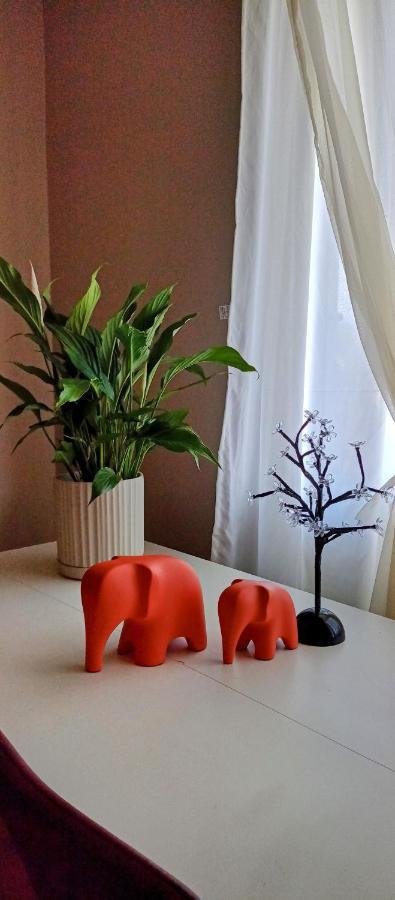 Insta Hostel Floripa Florianópolis Εξωτερικό φωτογραφία